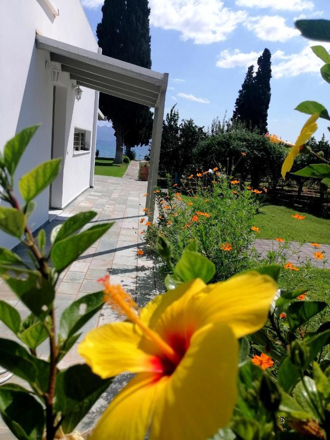 Villa Maria Epidaurus Eksteriør billede