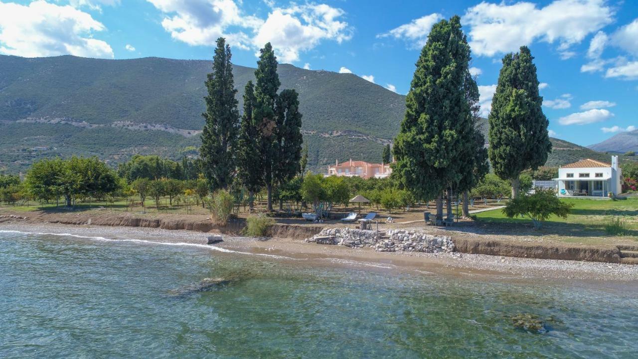 Villa Maria Epidaurus Eksteriør billede